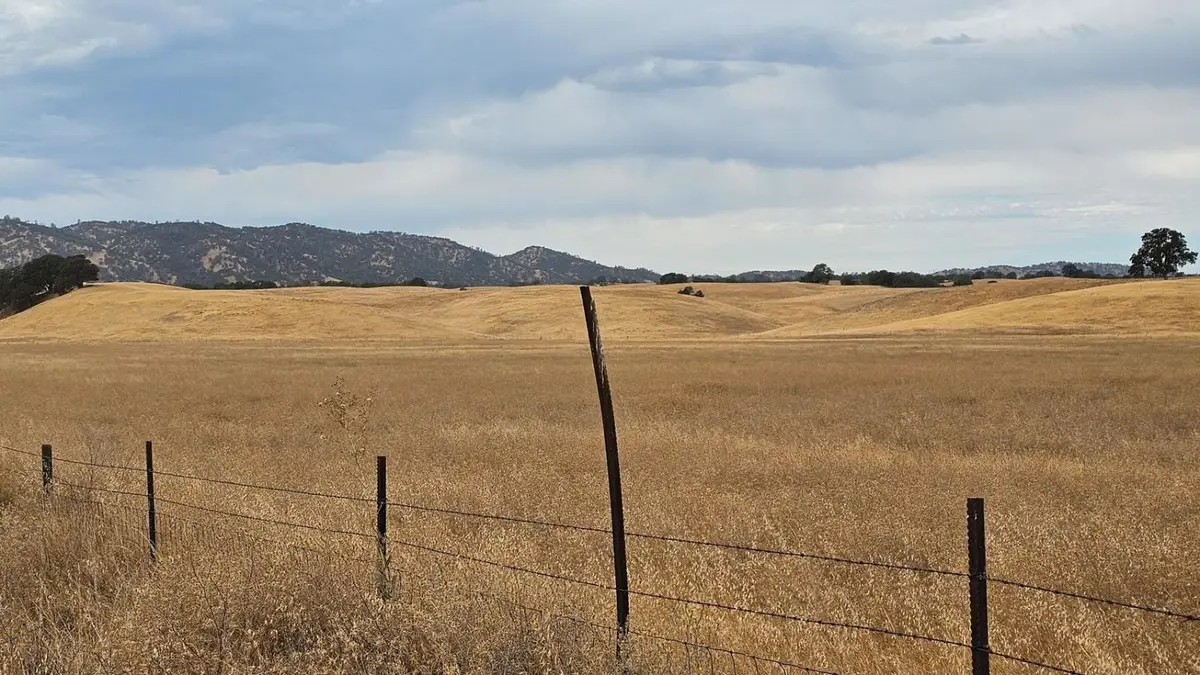 11 W County Road 11, Dunnigan, CA 95937 - #1