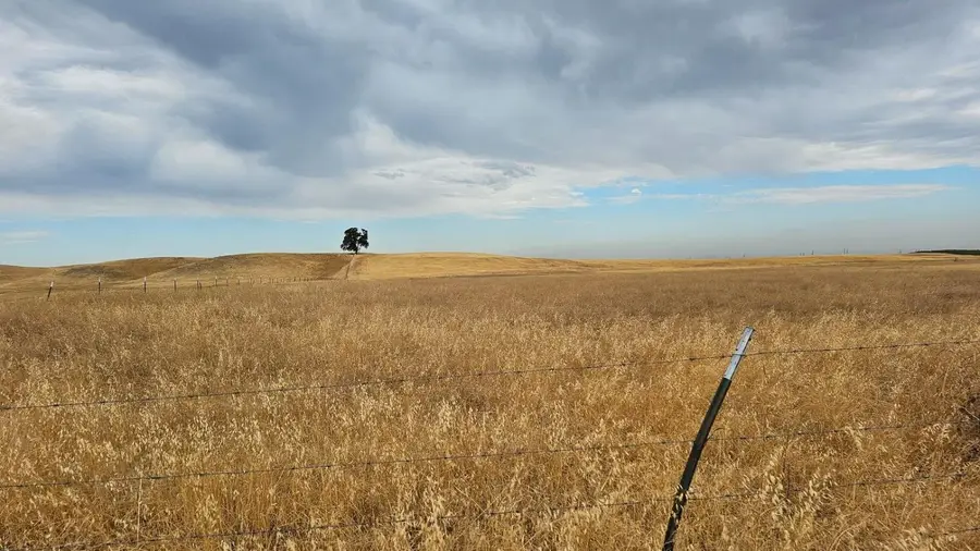 11 W County Road 11, Dunnigan, CA 95937 - #2