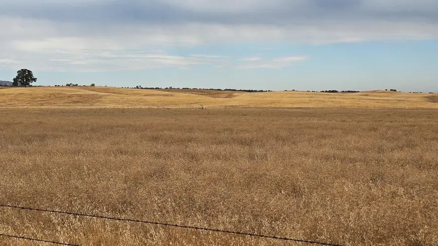 11 W County Road 11, Dunnigan, CA 95937 - #3