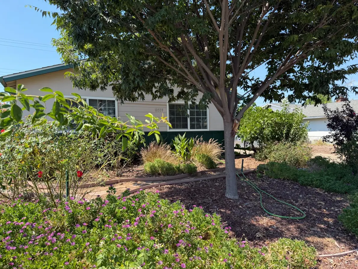 10559 Olson Drive, Rancho Cordova, CA 95670 - #1