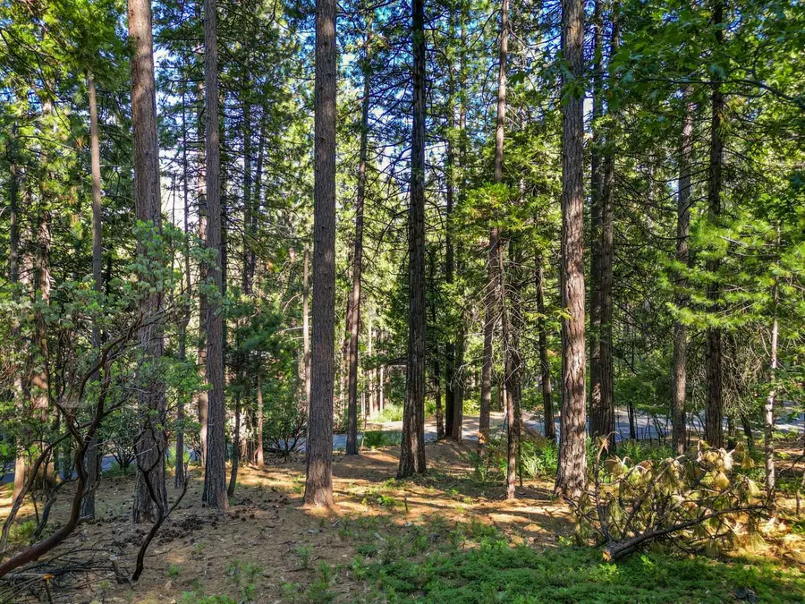 2946 Venado Drive, Arnold, CA 95223 - #2