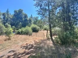 12717 Armstrong, Sheep Ranch, CA 95246