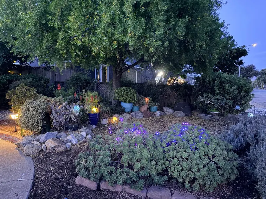 4685 Piper Street, Fremont, CA 94538 - #3