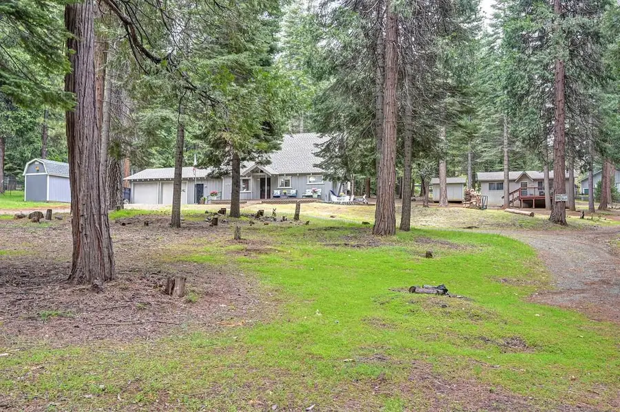 19380 Amador Avenue, Pioneer, CA 95666 - #2
