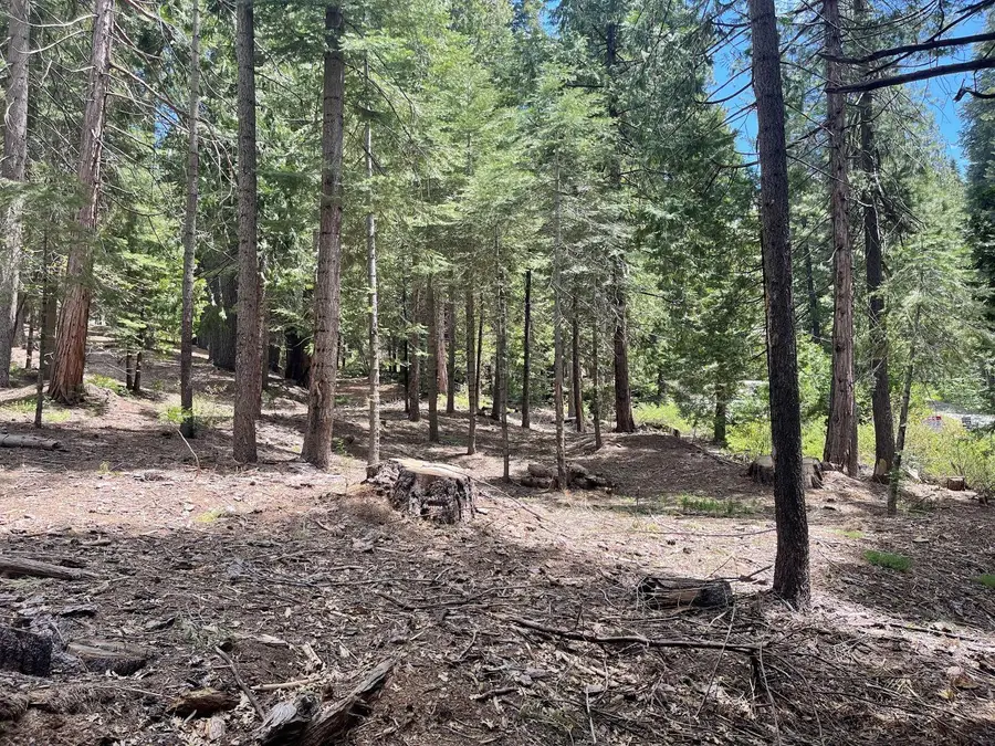 37 Iroquois Drive, Camp Connell, CA 95223 - #2