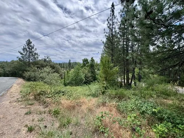 0 Grand View Way, Colfax, CA 95713 - #3