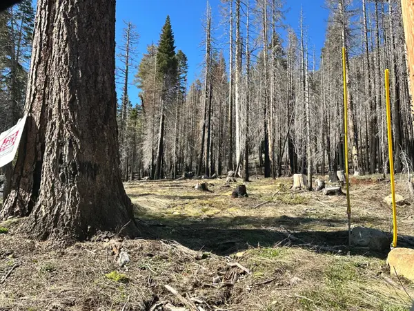 7177 Sierra Pines Road, Twin Bridges, CA 95735