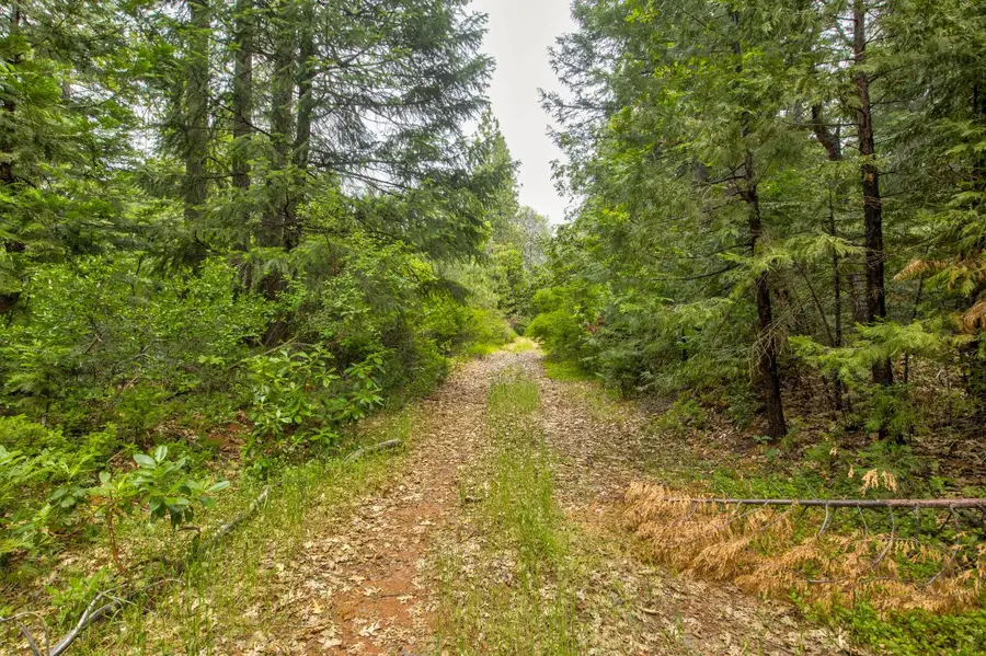 0 Foresthill Road, Foresthill, CA 95631 - #2