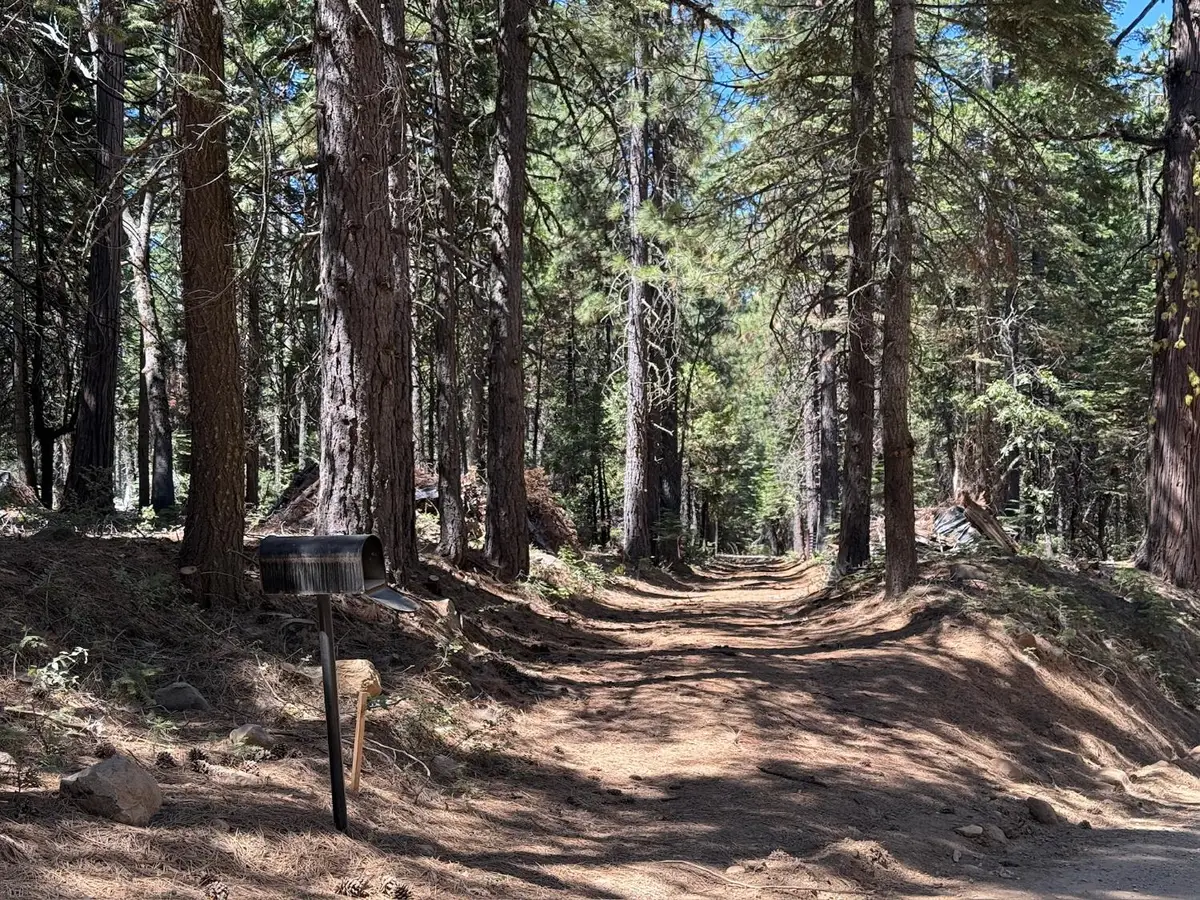 30457 N Bloomfield-graniteville Road, Nevada City, CA 95959 - #1