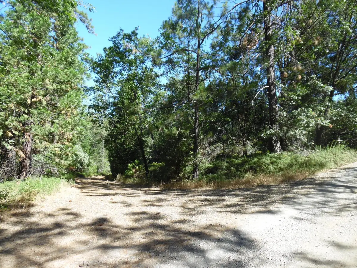 5301 Lone Star Road, Wilseyville, CA 95257 - #1