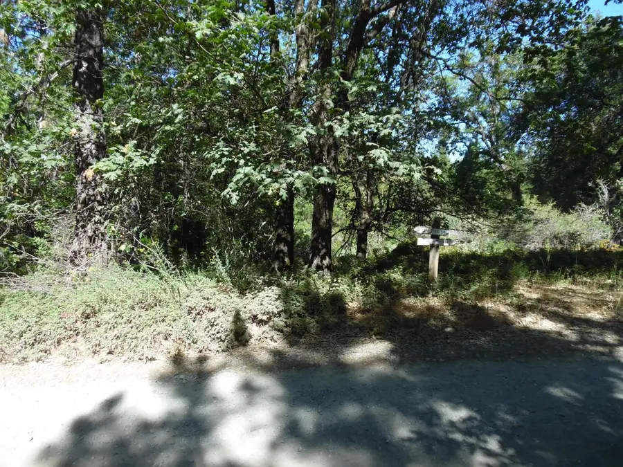 5301 Lone Star Road, Wilseyville, CA 95257 - #3