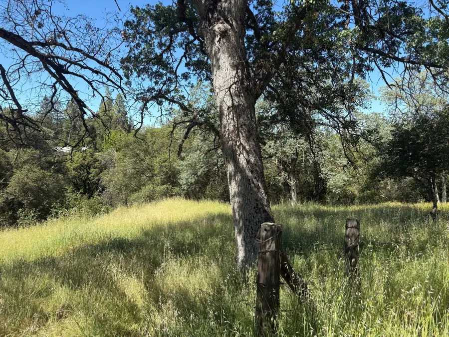 0 Sheep Ranch Rd., Sheep Ranch, CA 95246 - #3