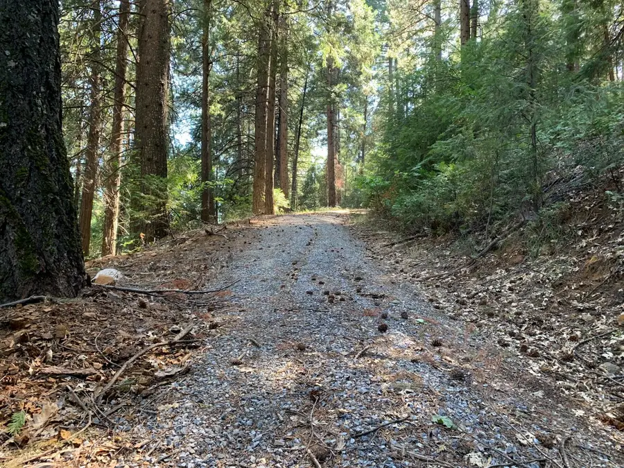 5727 Starkes Grade Road, Pollock Pines, CA 95726 - #3