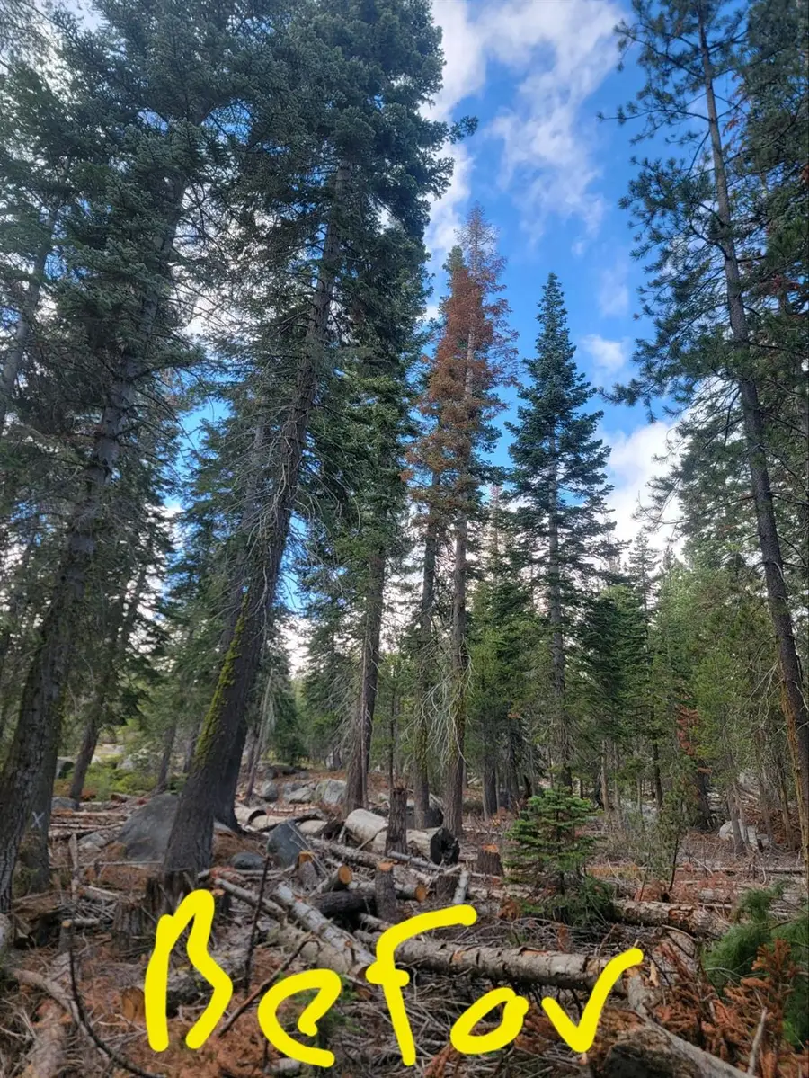 66 Silver Tip Dr, Arnold, CA 95223 - #2