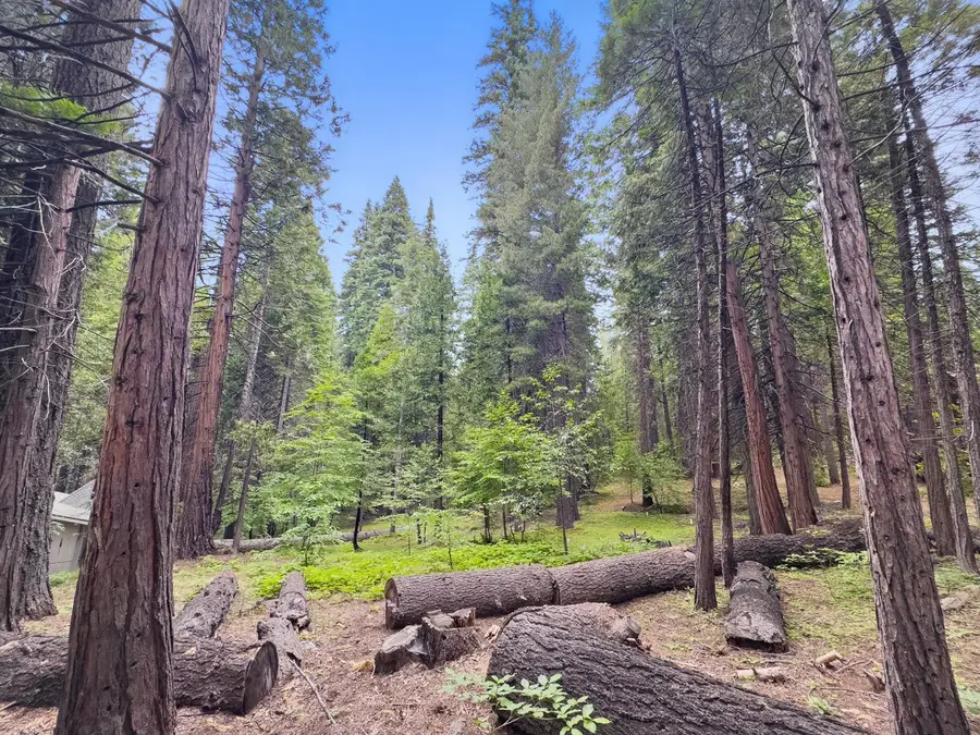4278 Ottawa Drive, Arnold, CA 95223 - #3