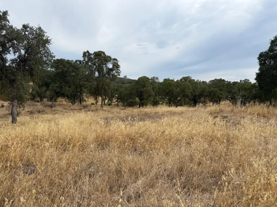 46 Willow Drive, Oroville, CA 95966 - #3