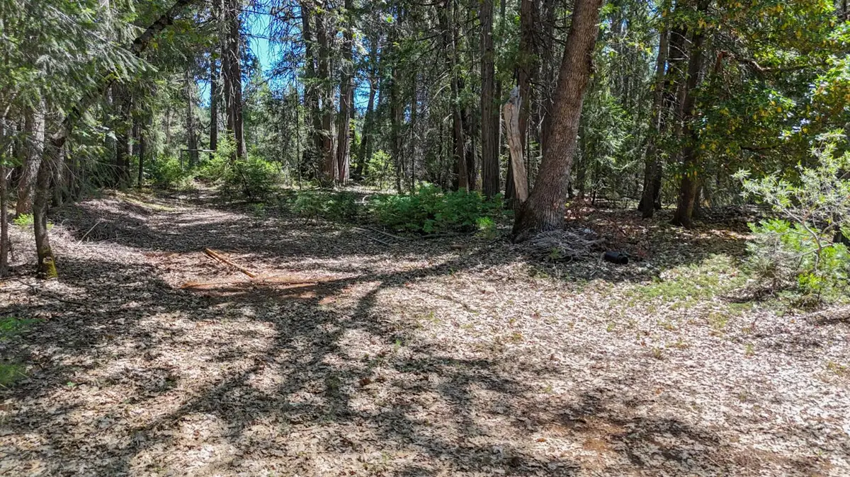 12479 Tesla Place, Nevada City, CA 95959 - #1