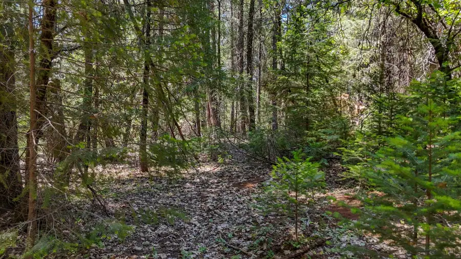 12479 Tesla Place, Nevada City, CA 95959 - #3