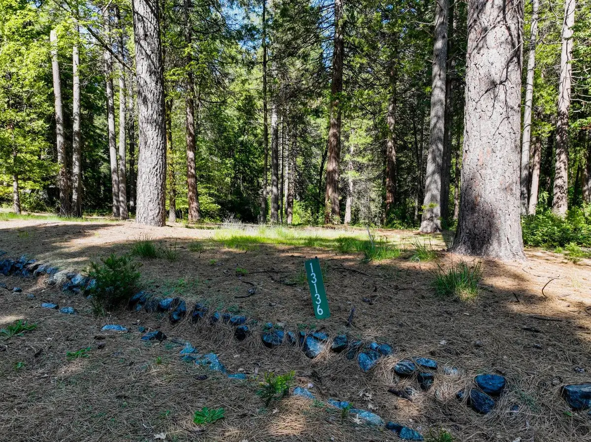 13136 Woodstock Drive, Nevada City, CA 95959 - #1