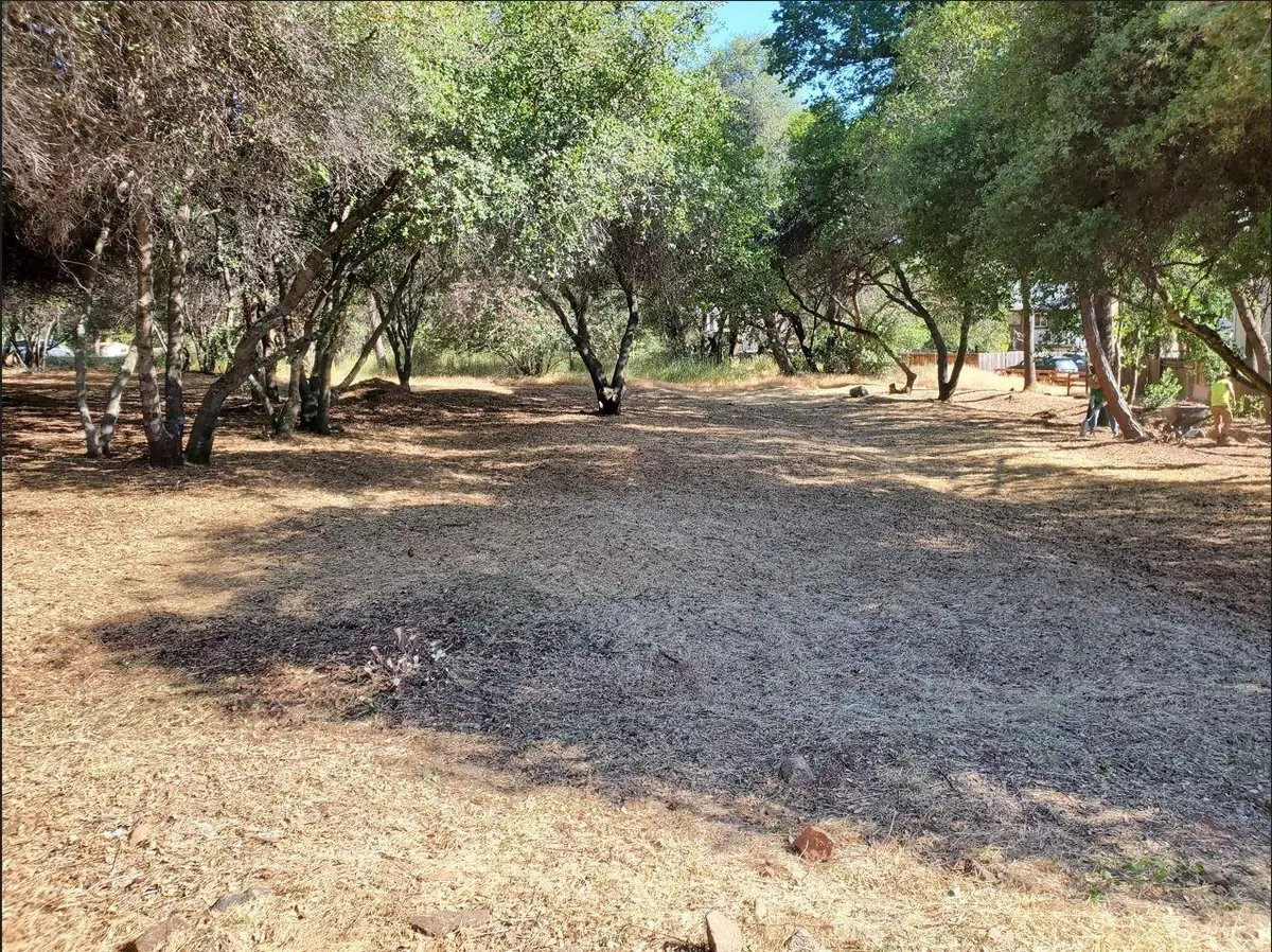 3394 La Canada Drive, Cameron Park, CA 95682 - #1