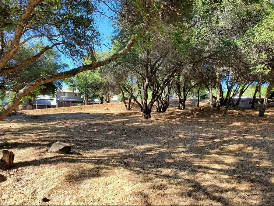 3394 La Canada Drive, Cameron Park, CA 95682 - #3