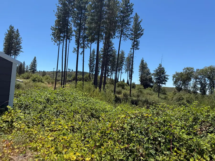 3461 Hoffman, Oroville, CA 95965 - #2