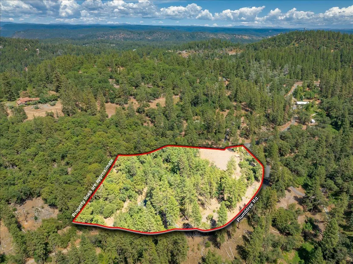 22600 Plumtree Road, Colfax, CA 95713 - #1