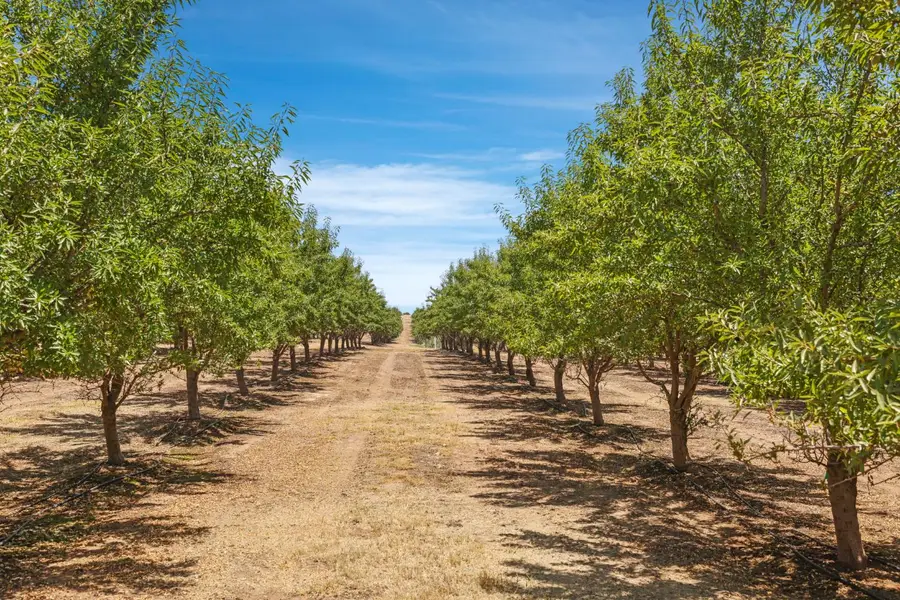0 Morrison Road, Oakdale, CA 95361 - #2