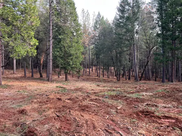 47 Bear Creek Rd, Garden Valley, CA 95633