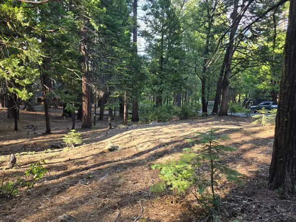 3850 Apache Road, Dorrington, CA 95223