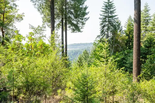 13518 Quaker Hill Cross Road, Nevada City, CA 95959