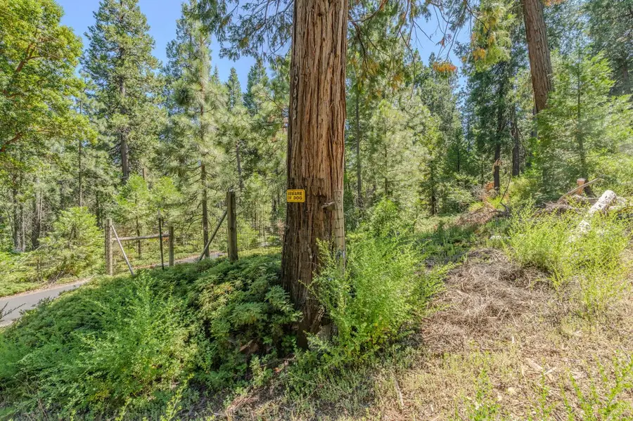 19403 Woodridge Drive, Pioneer, CA 95666 - #2