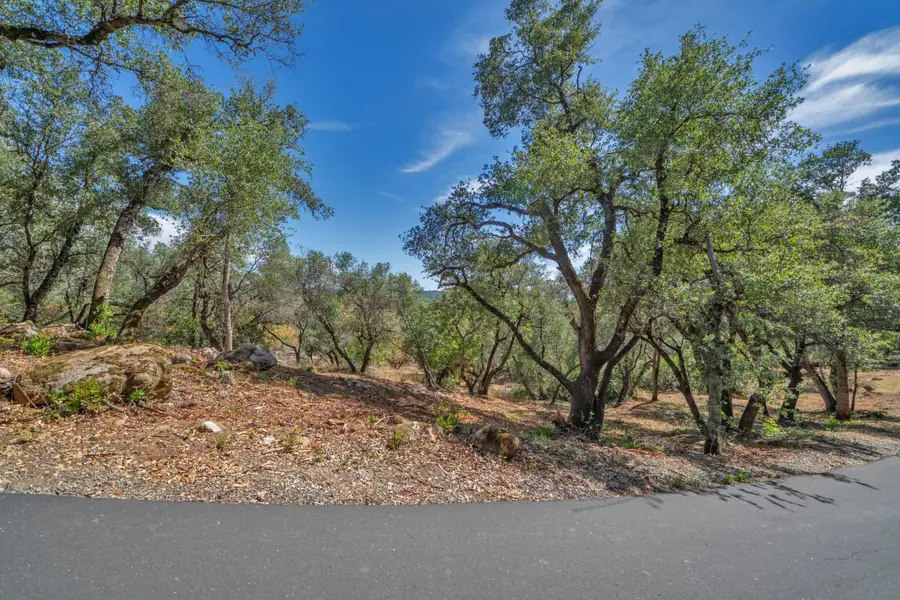 0 Leaning Tree Road, Placerville, CA 95667 - #3