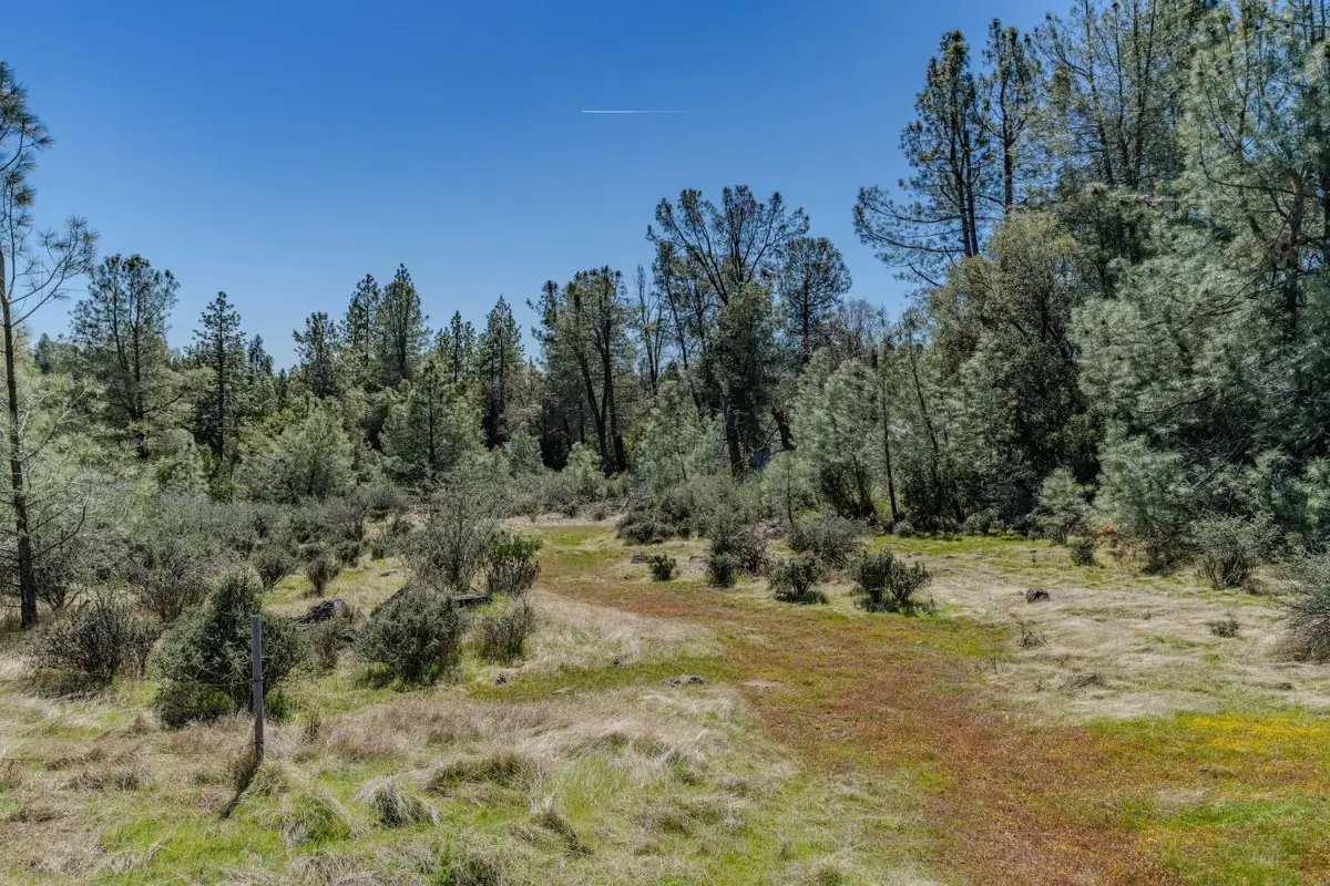 0 Carson Road, Pioneer, CA 95666 - #1
