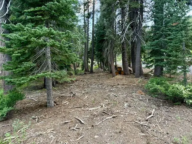 0 Quaking Aspen Road, Bear Valley, CA 95223 - #1