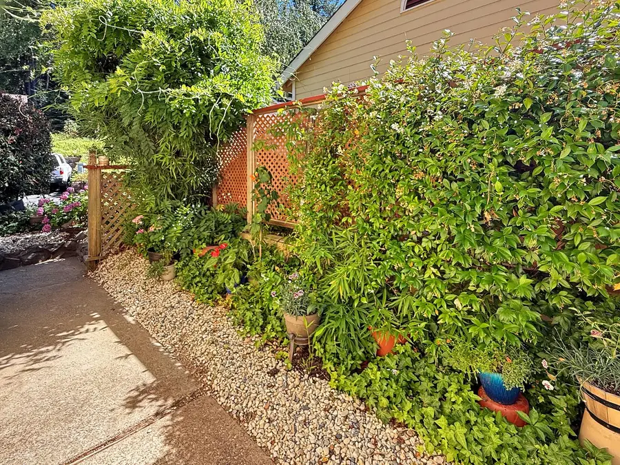 321 Bridge Way, Nevada City, CA 95959 - #3