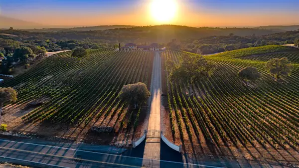 100 Shultz Vineyard Road, Shingle Springs, CA 95682