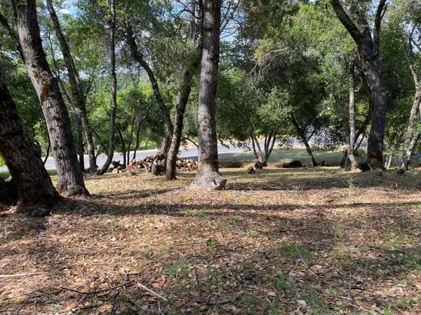 315 Mill Court, Angels Camp, CA 95222