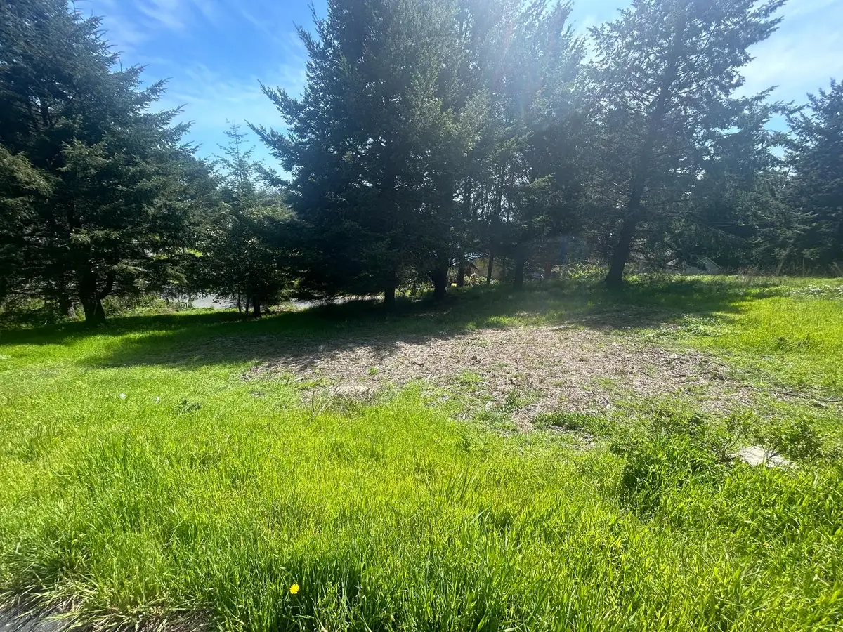 56 Vista Rd, Whitethorn, CA 95589 - #1