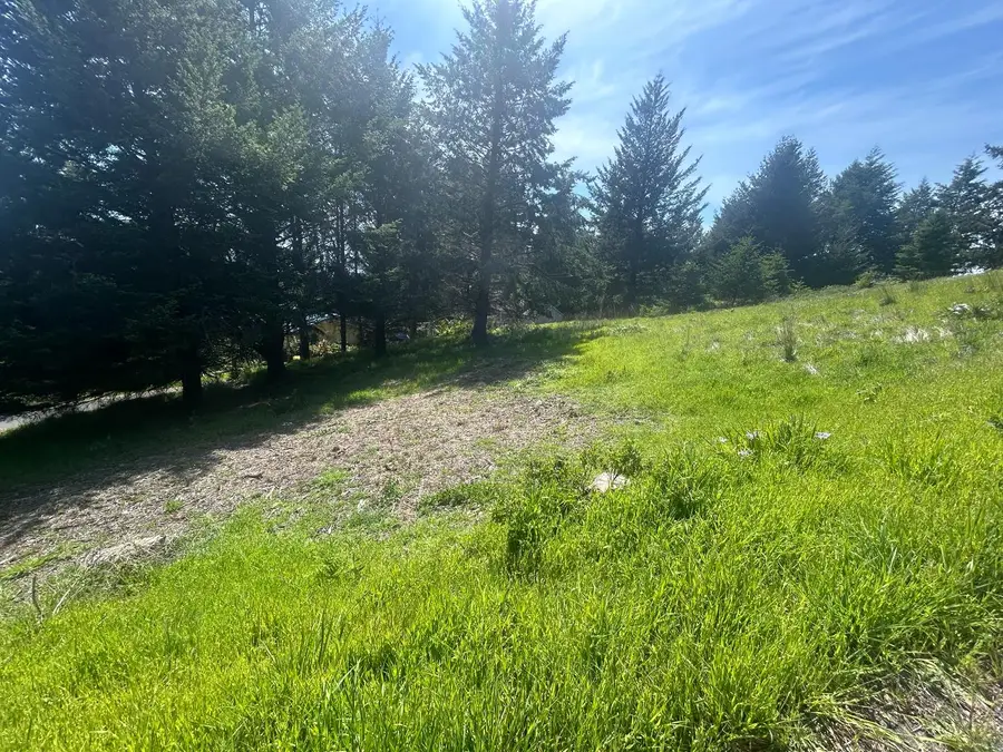 56 Vista Rd, Whitethorn, CA 95589 - #3