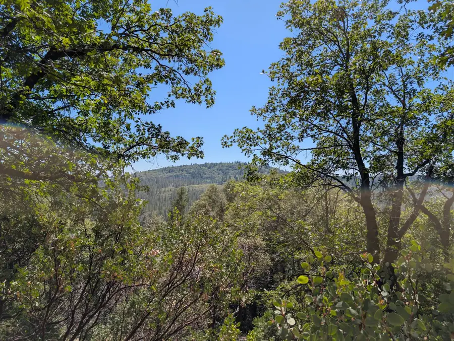 13025 Wild Life Lane, Grass Valley, CA 95945 - #2