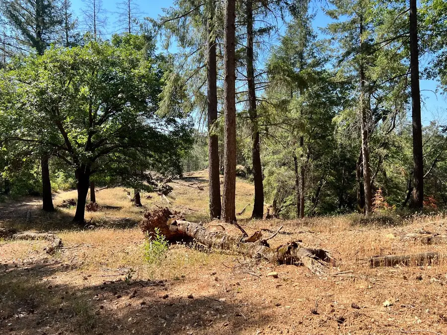 43 Bottle Hill Road, Georgetown, CA 95634 - #3