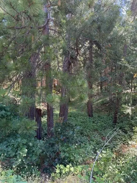 858 Meadow, Arnold, CA 95223