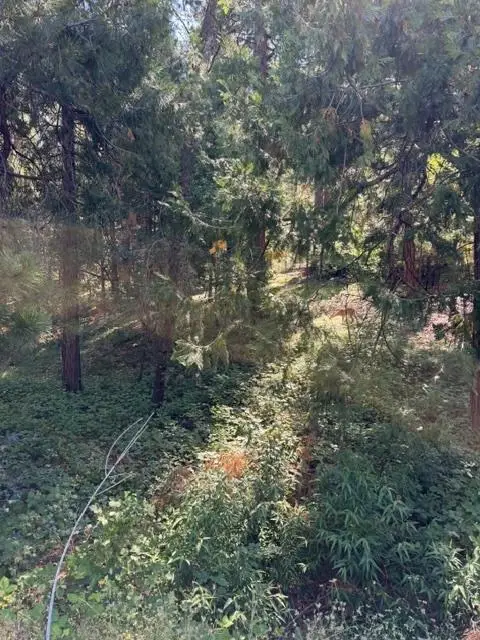 858 Meadow, Arnold, CA 95223 - #2