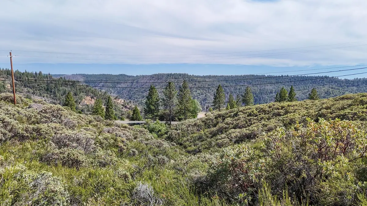 8131 Grizzly Flat Road, Somerset, CA 95684 - #1