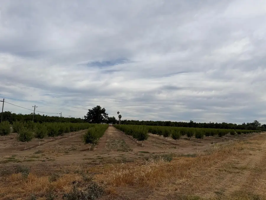 0 Williston Road, Live Oak, CA 95953 - #2