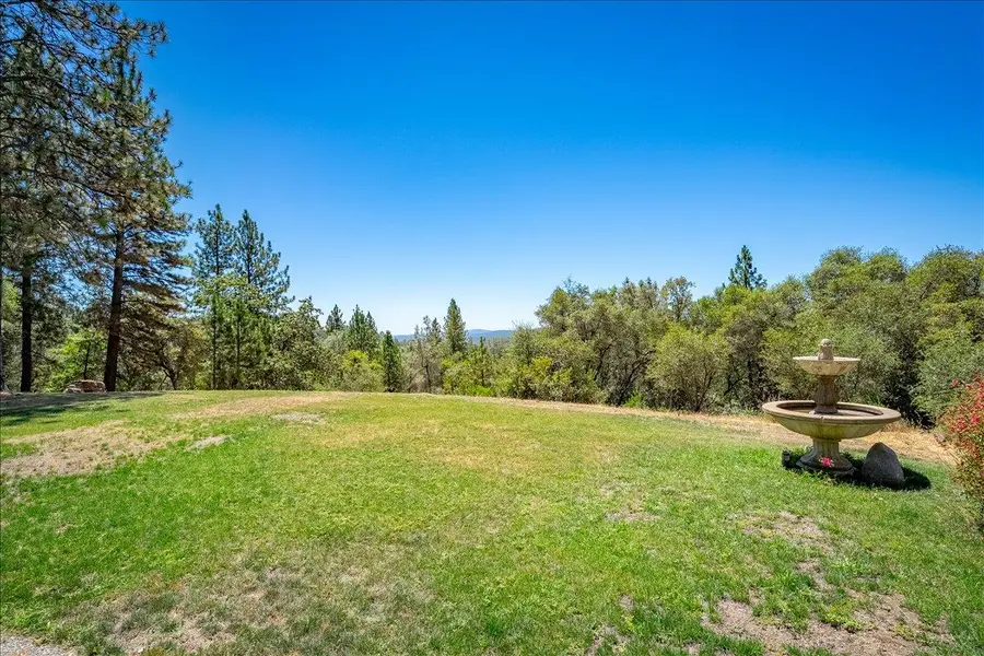 4350 Meadowview Acres Road, Cool, CA 95614 - #2