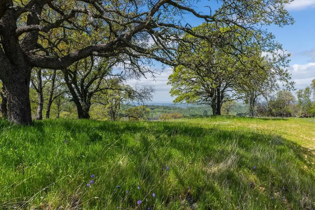 10859 Sunset Drive, Sutter Creek, CA 95685 - #1