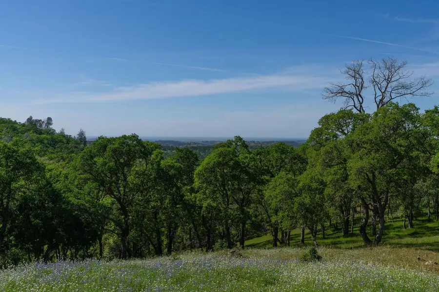 10859 Sunset Drive, Sutter Creek, CA 95685 - #3