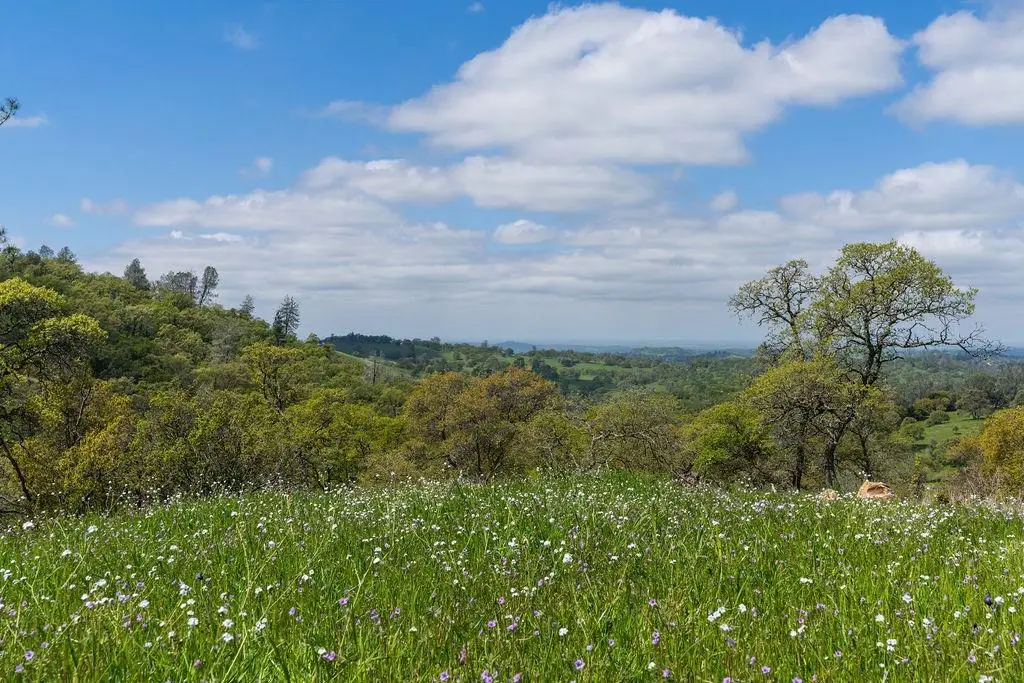 10865 Sunset Drive, Sutter Creek, CA 95685 - #1